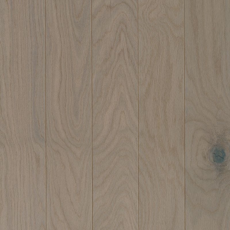 Coastline / Oak / Traditional / 5" / 3/8" Performance Plus Low Gloss Collection 0