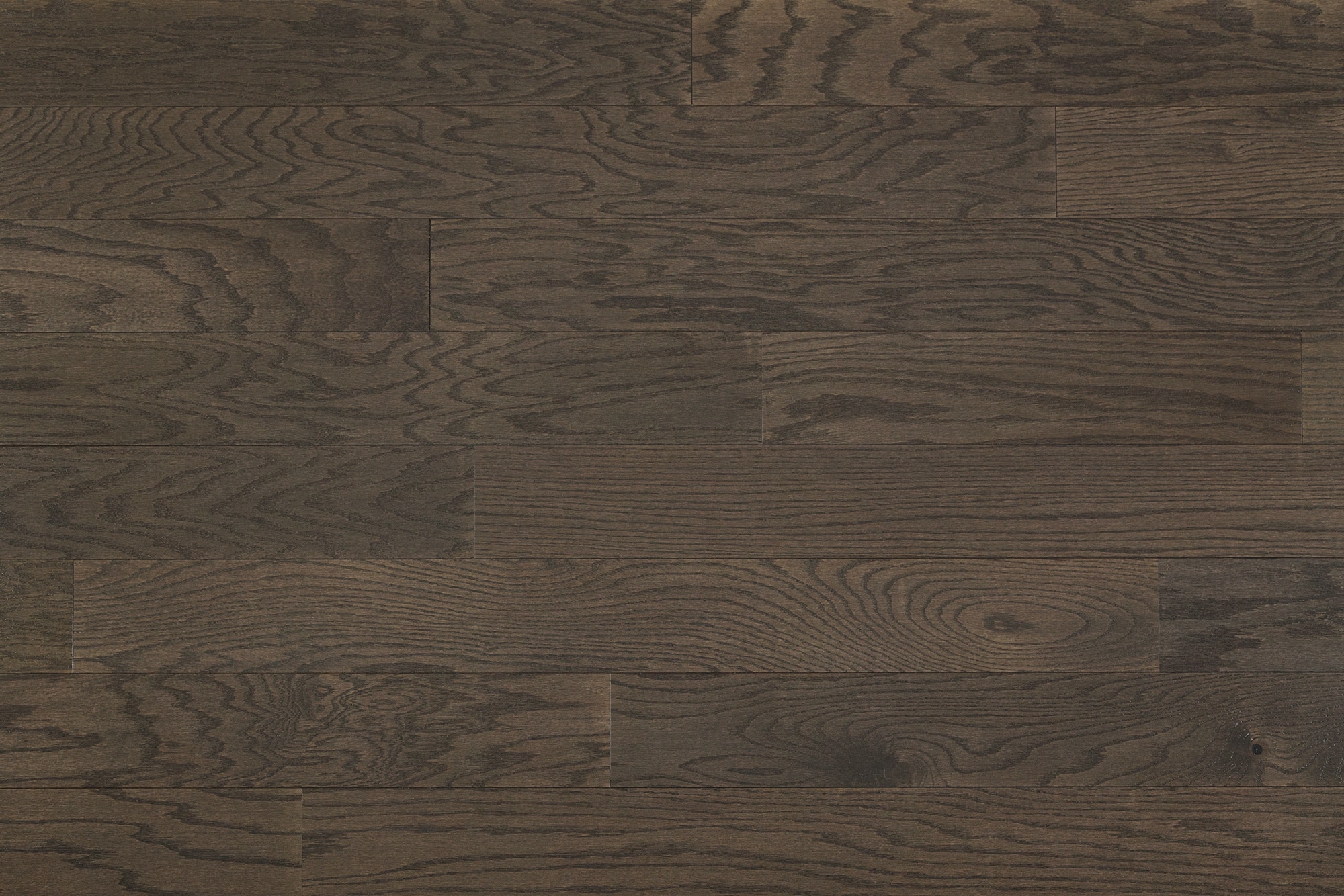 FREE Samples Jasper Engineered Hardwood Red Oak Collection