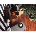 Room Scene - Living Room View