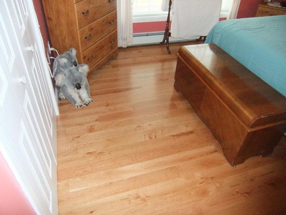Free Samples Jasper Hardwood American Black Cherry Collection