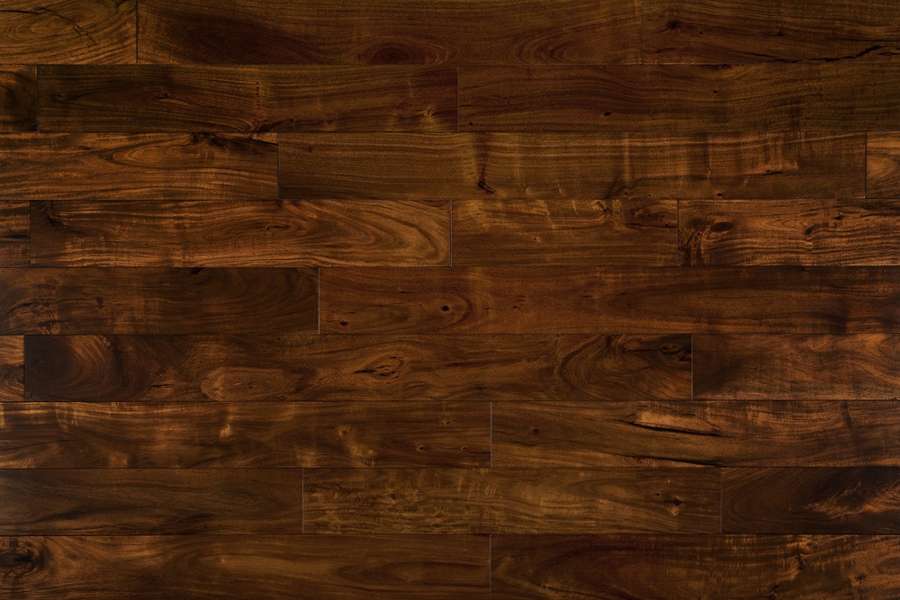 3 4 Hardwood Flooring is this red or white oak Mazama Hardwood Flooring Tropical Acacia Collection 3 4 Hardwood Flooring 4 34 engineered acacia hardwood flooring in natural Mazama Hardwood Flooring Tropical Acacia Collection
