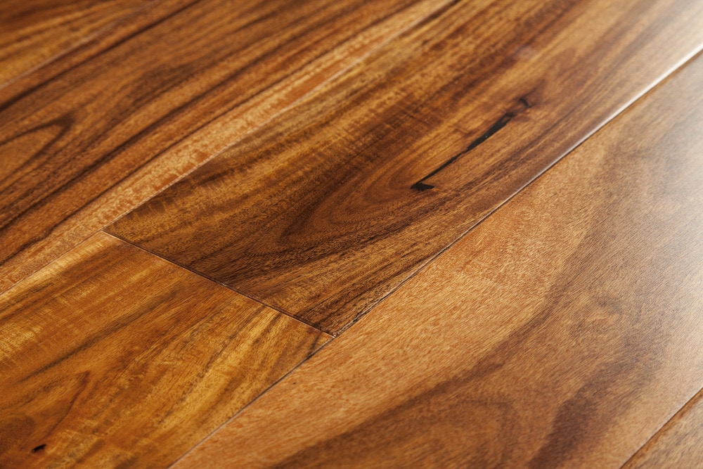Free Samples Mazama Hardwood Tropical Collection Acacia 4 3 4 Random Length