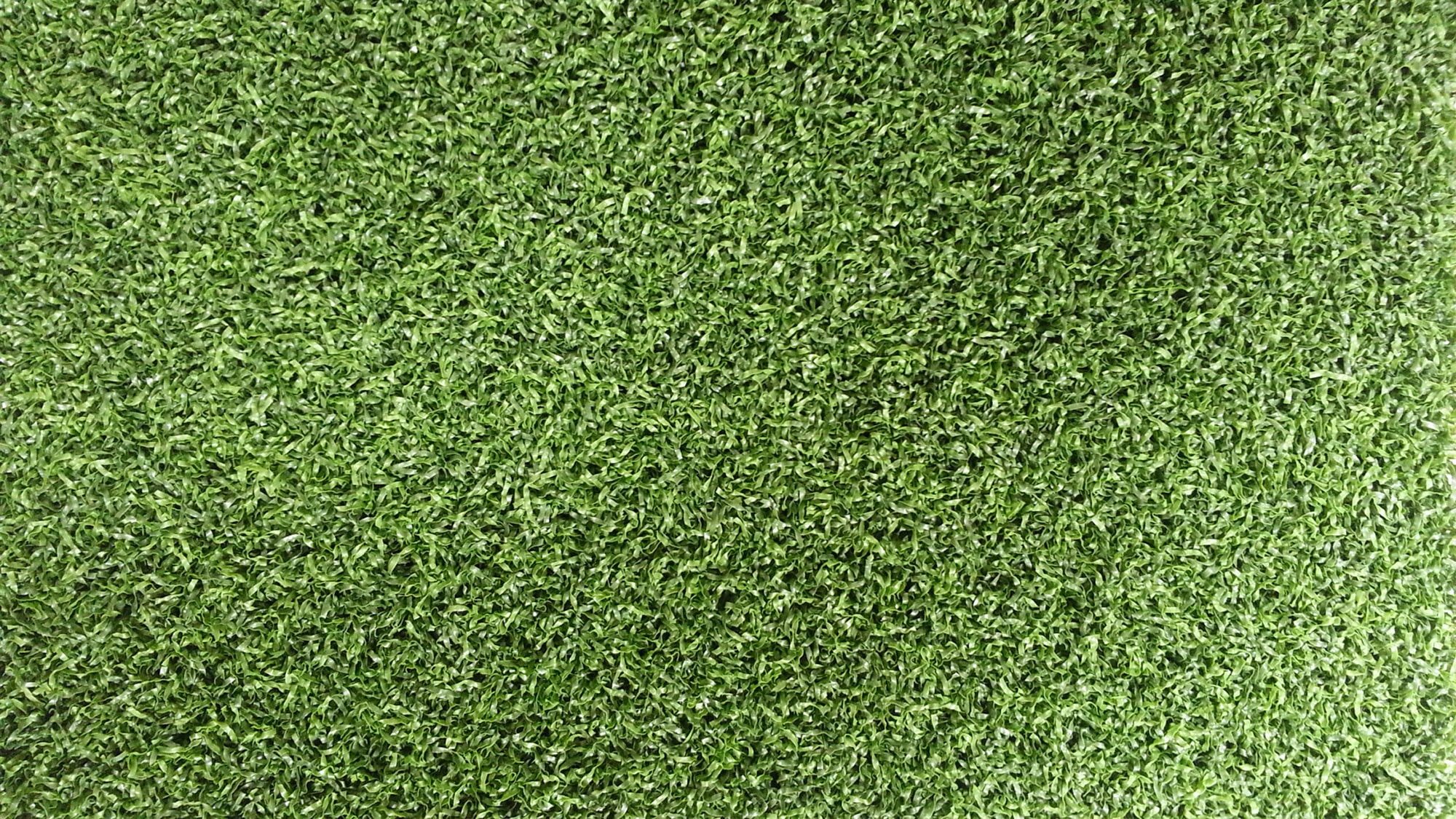 artificial grass texture. artificial grass texture