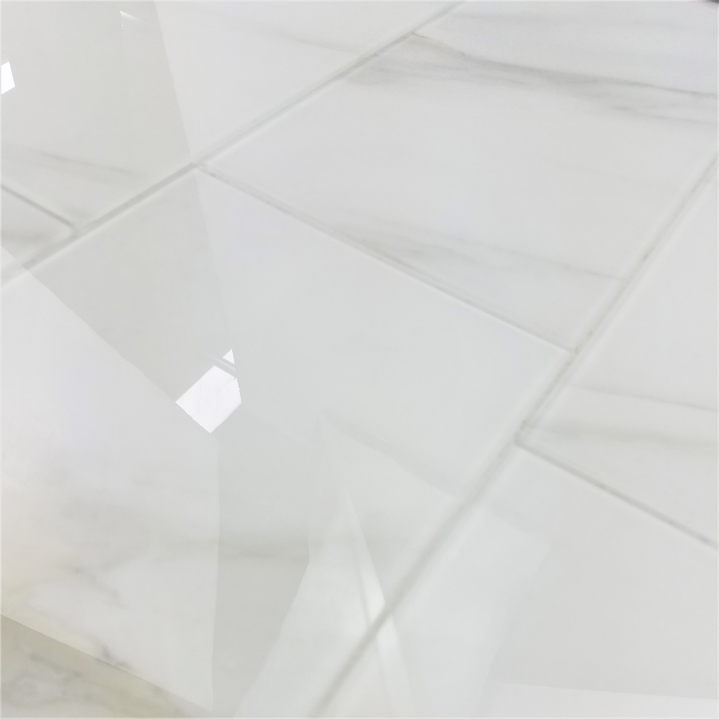 Calacatta Straight Edge Glossy / 8"x8" / Glossy Nature Collection 0