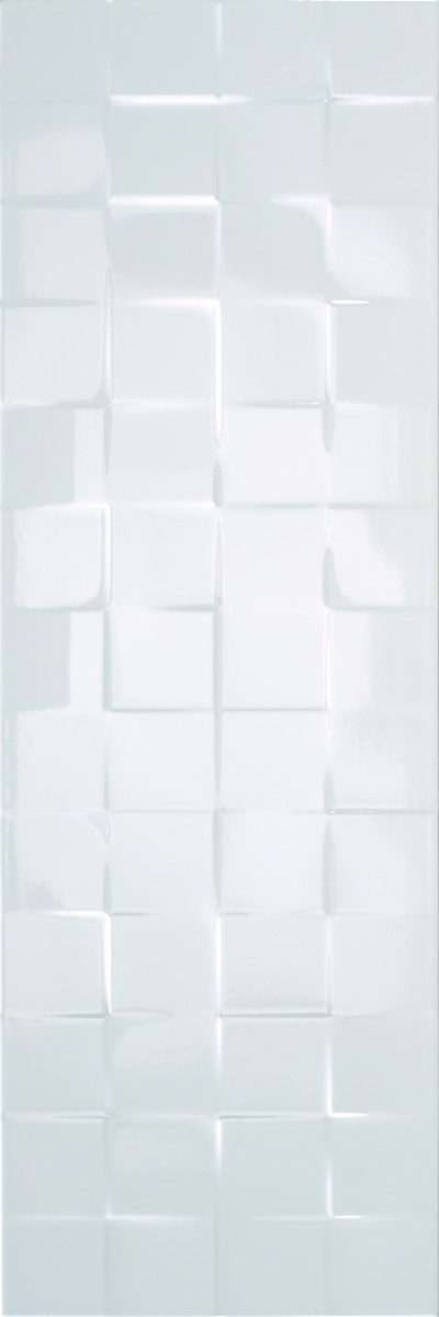 White Grid / 10x30 Olympus - Centaurus 0