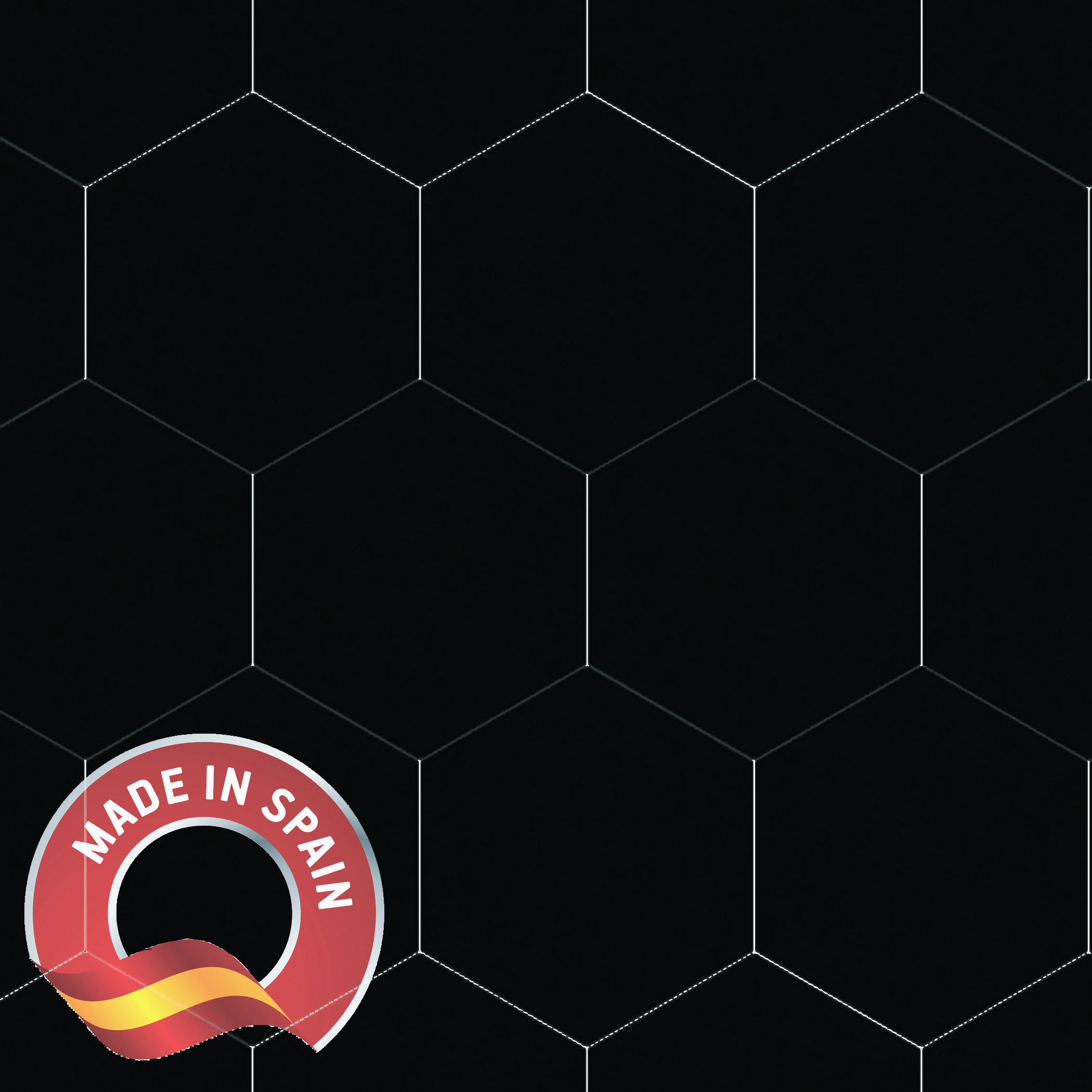 Hexagon Black Matte / 5x4 Olympus - Minerva 0