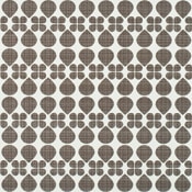 2-36 Dot / 12x24 Olympus - Morpheus 0