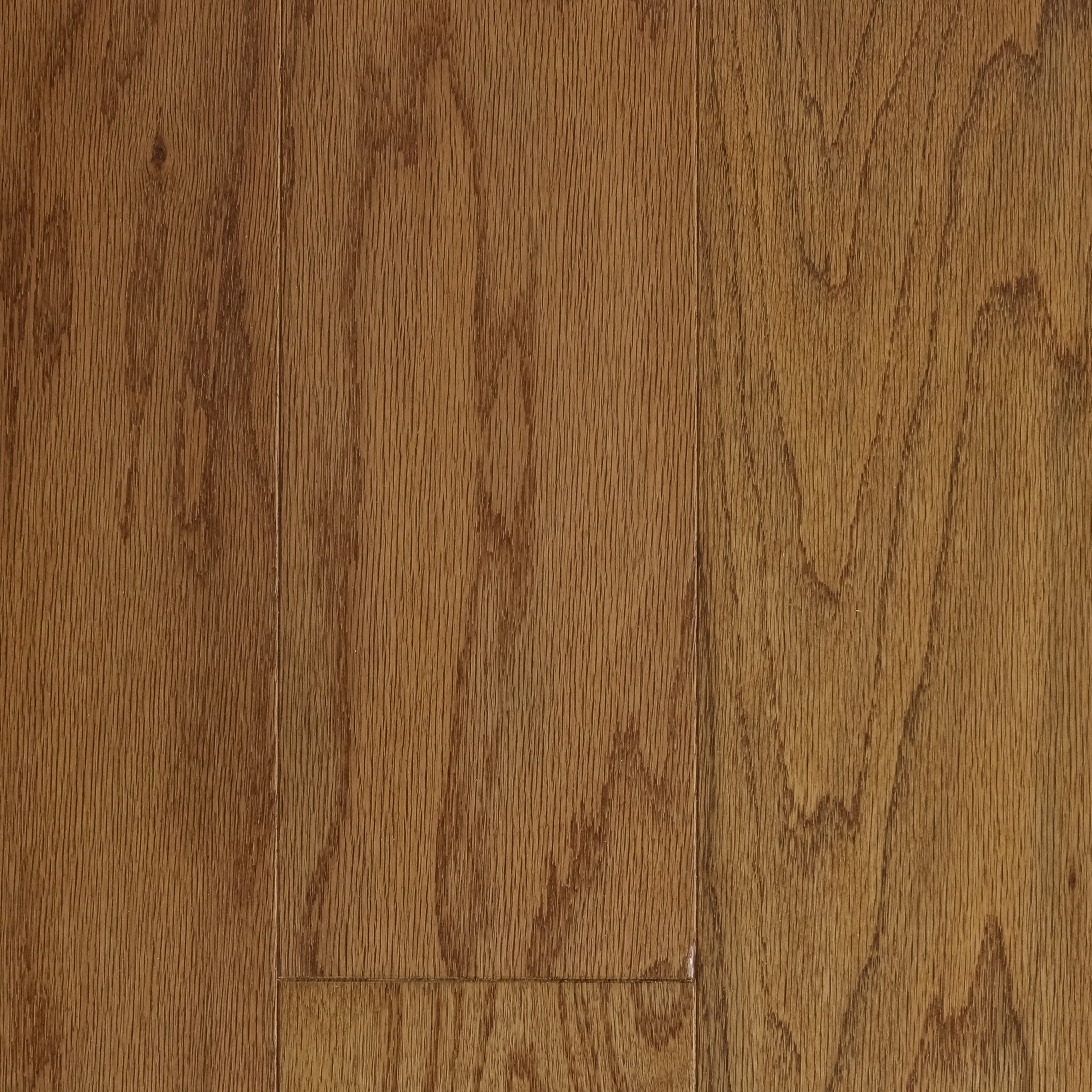 Caramel / Oak / Urethane with AO / Standard / 3/8" X 5" Engineered Hardwood - 5" Oak - Berkshire Collection 0
