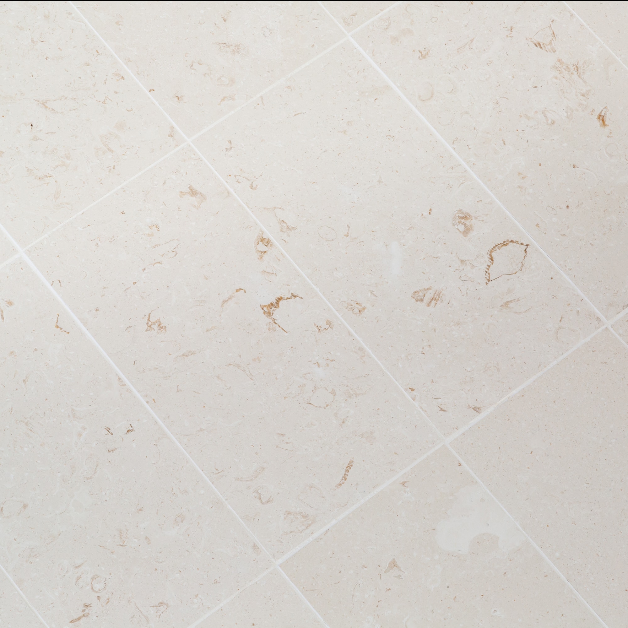 Myra White / 12"x24" / Brushed Limestone Tile - Aegean Collection 0