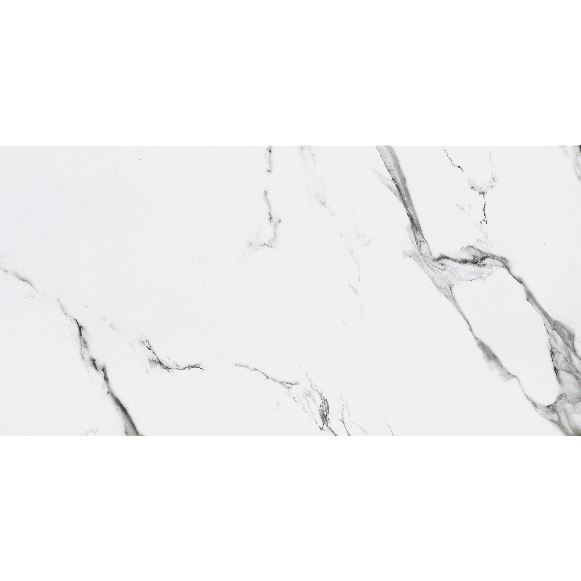 Statuario Extra / 12"x24" / Polished Porcelain Tile - Statuario Marble 0
