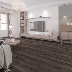 Room Scene - Commercial Space